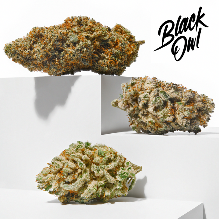 A Guide to Choosing the Right Cannabis Strain: Finding Your Perfect Match