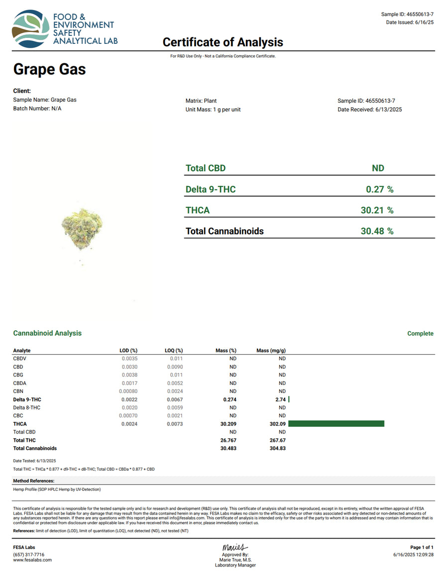 GRAPE GAS (INDICA) | HIGH THCA FLOWER