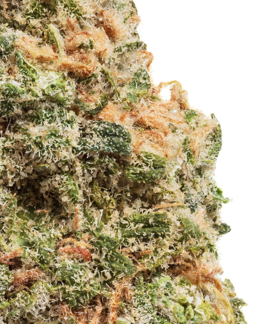 BLUE DREAM (SATIVA) | HIGH THCA FLOWER