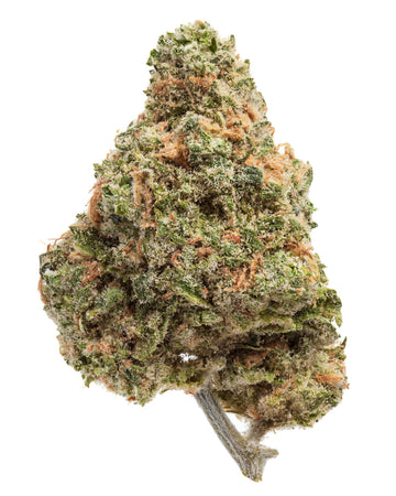 BLUE DREAM (SATIVA) | HIGH THCA FLOWER