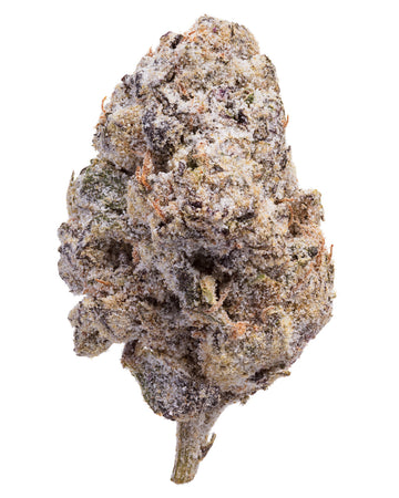 Bubble Gum Sno Cap Moonrocks