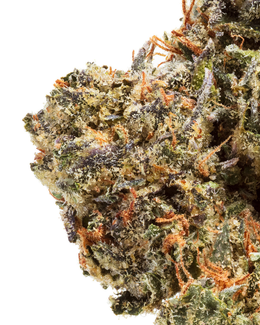 GAS FACE (HYBRID) | HIGH THCA FLOWER