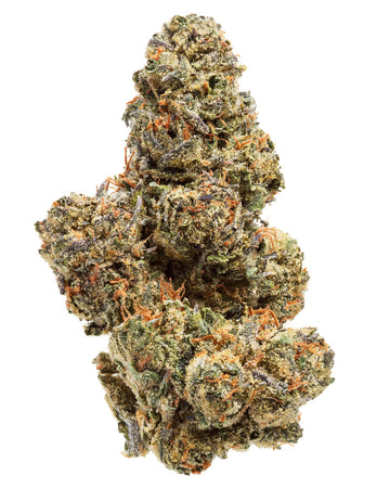GAS FACE (HYBRID) | HIGH THCA FLOWER