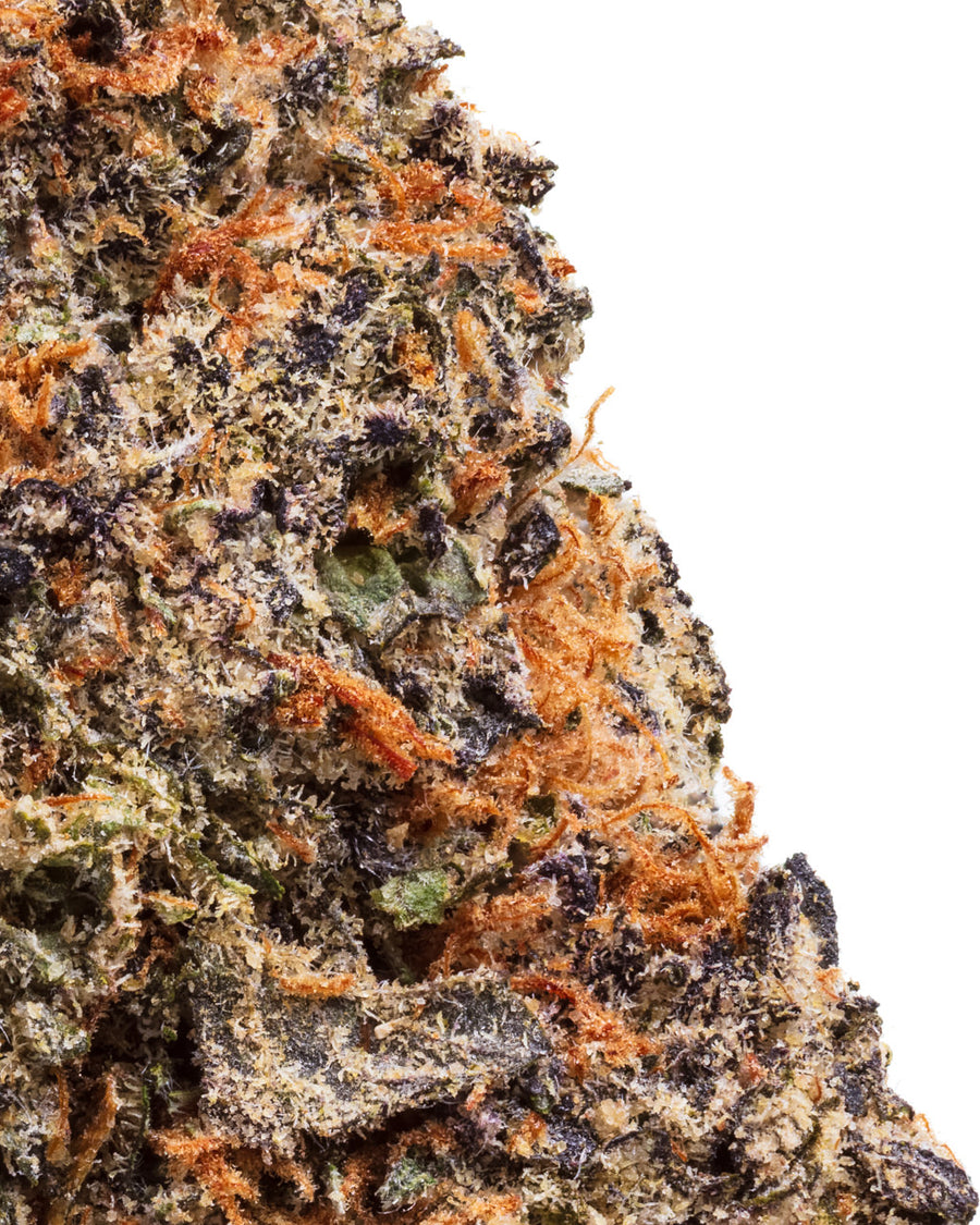 GRAPE GAS (INDICA) | HIGH THCA FLOWER