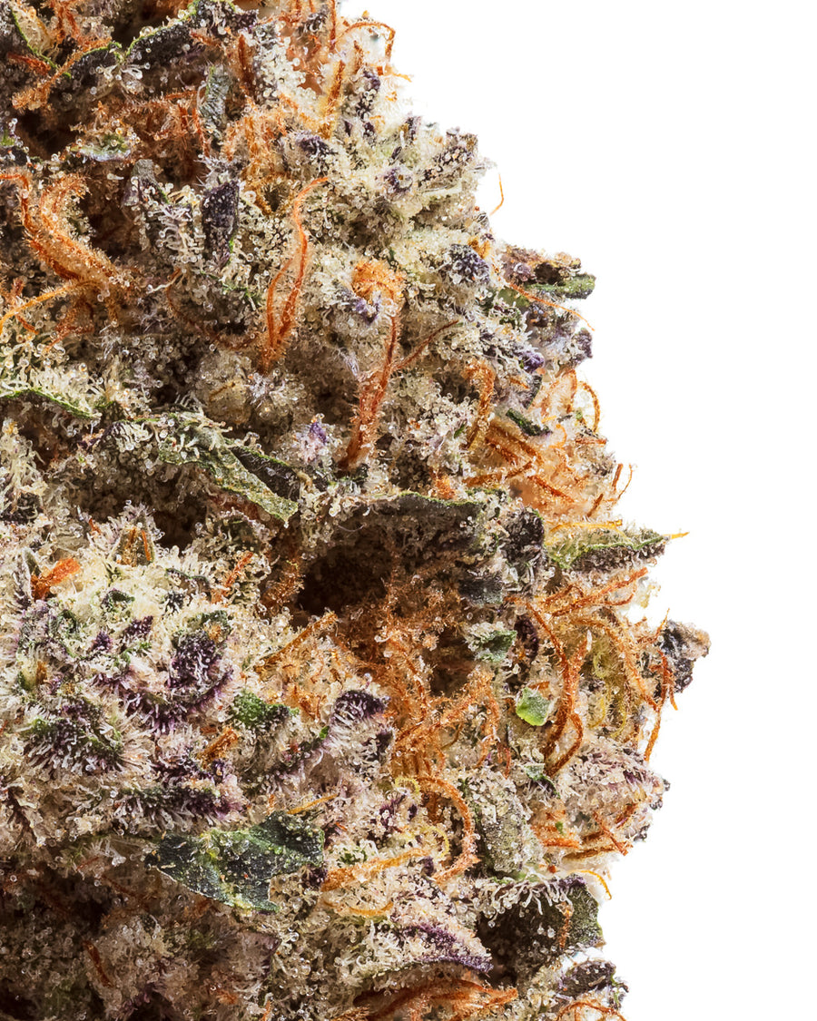 LARRY OG (INDICA) | HIGH THCA FLOWER