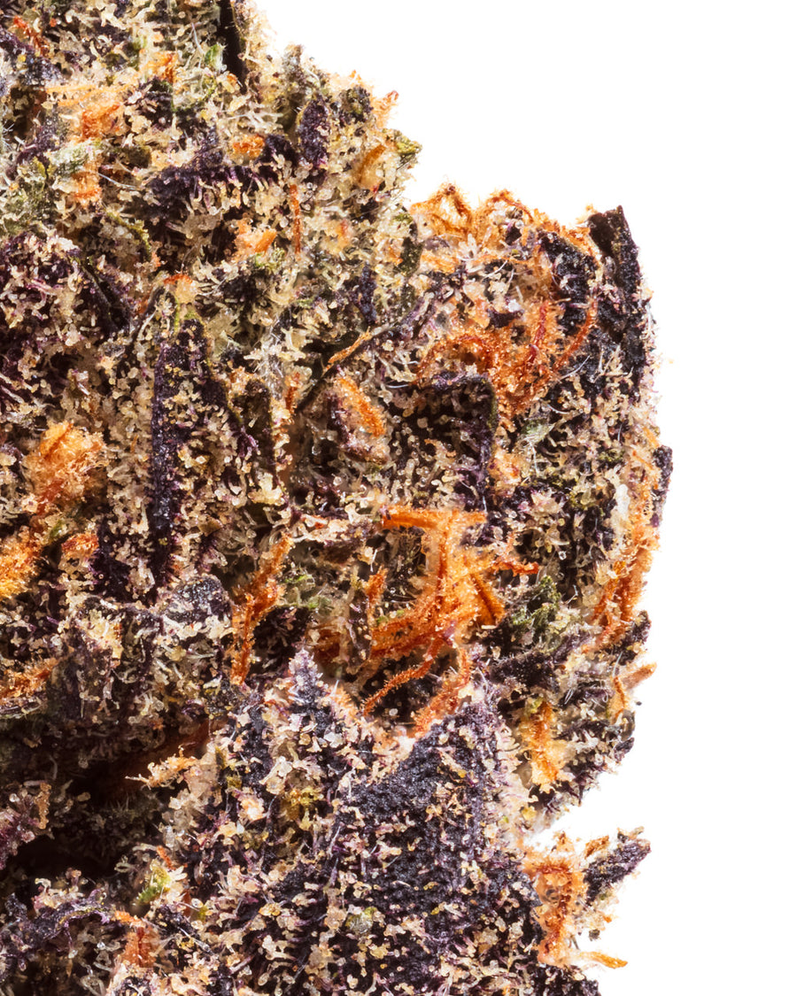 PINK SHERBERT (HYBRID) | HIGH THCA FLOWER