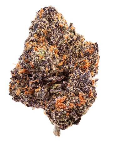 PINK SHERBERT (HYBRID) | HIGH THCA FLOWER