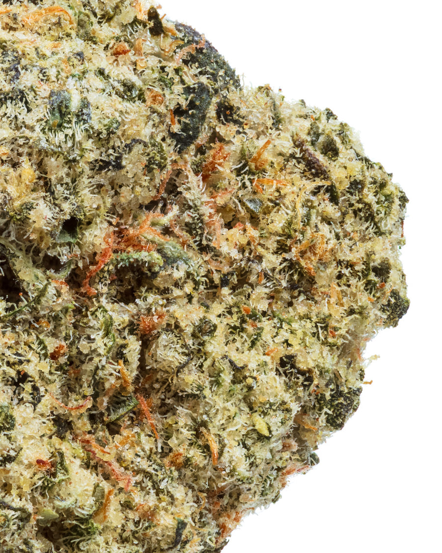 SUPER JACK - SATIVA | HIGH THCA FLOWER