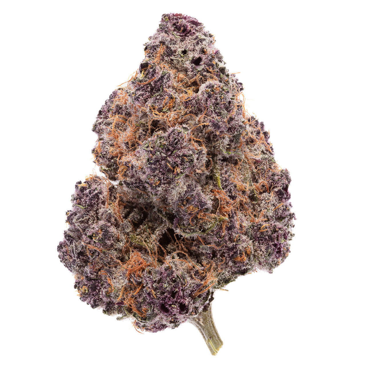 TROP CHERRY - SATIVA