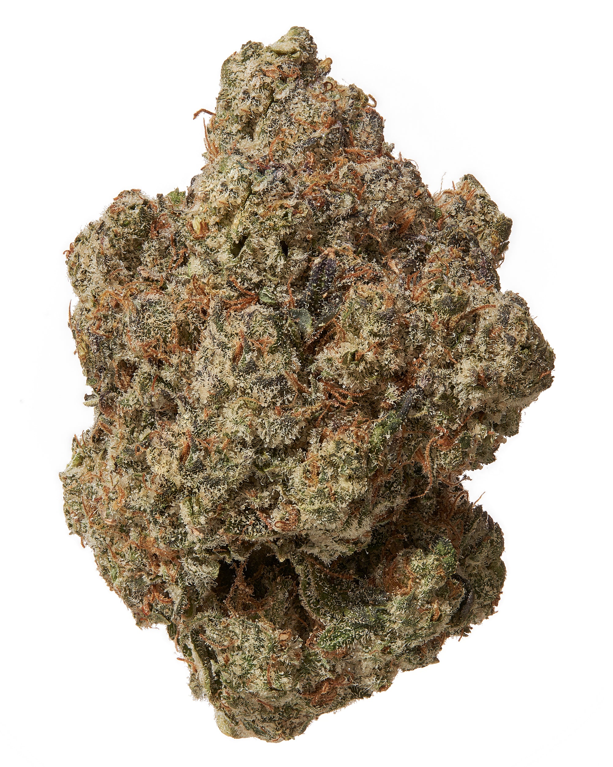 MANGO MENTALITY (HIGH THCA HEMP FLOWER)