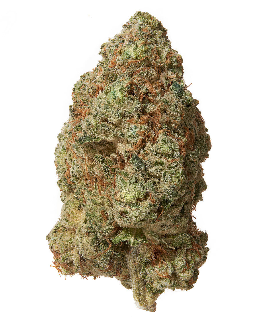 PAPAYA PUNCH (HIGH THCA HEMP FLOWER)