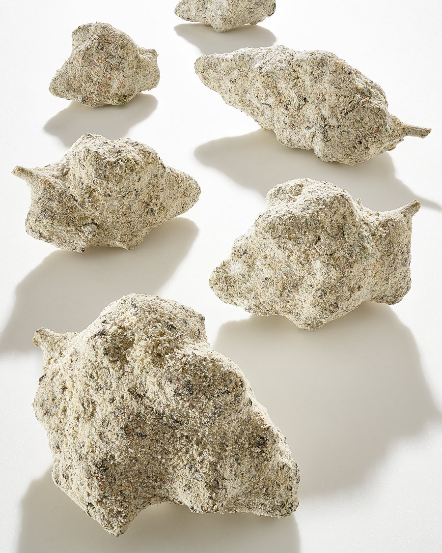 DIAMOND DUSTED MOONROCKS – Black Owl
